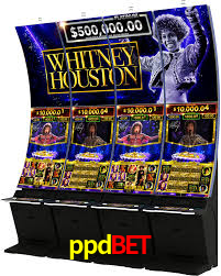 ppdbet com